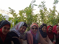 farayaTrip2015 (61)